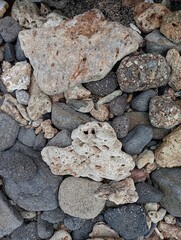 Portrait of coral rocks on the beach