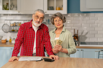 in bright kitchen an elderly cute couple at the table count their expenses monthly payment utility bills monthly survival count money smiling looking at the camera