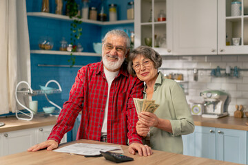 in bright kitchen an elderly cute couple at the table count their expenses monthly payment utility bills monthly survival count money smiling looking at the camera