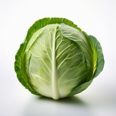 Fototapeta premium isolated cabbage on white background, square food photography 