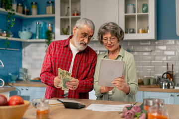 in a bright kitchen an elderly cute couple at the table count their expenses monthly payment utility bills count money smiling checking on tablet laughing