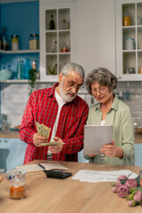 in a bright kitchen an elderly cute couple at the table count their expenses monthly payment utility bills count money smiling checking on tablet laughing