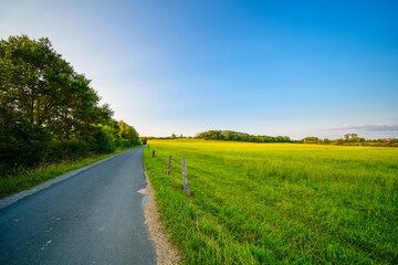 Landscape with fields near Dolberg, Ahlen.  Nature on Halberg.
