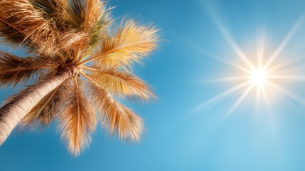 Golden sunlight streaming through palm fronds against a vibrant blue sky, creating a sense of warmth and peace, perfect for conveying a tropical escape.