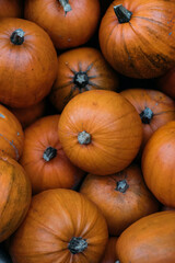 Halloween pumpkins or jack o lantern.
