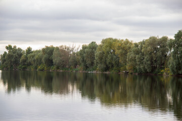 reflection of trees in the water