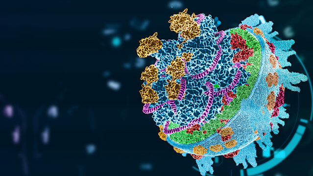 Bird flu virus h5n1, medical illustration surface structure, avian influenza, bird flu in humans,  3d rendering 