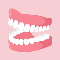 Dental theme with teeth model vector illustration.