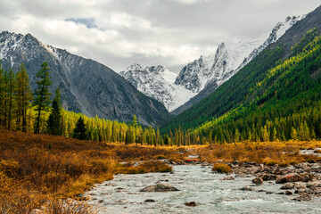 Obraz premium the beautiful valley of the Shavla river in Altai in autumn