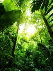 A vibrant rainforest with lush foliage, tall trees, and a serene atmosphere teeming with life and color.