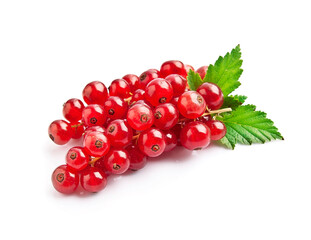 Sweet red currant with leaves