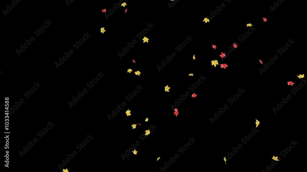 Wall mural maple leaves falling on alpha channel. 3d rendering. maple leaves falling with alpha channel you can