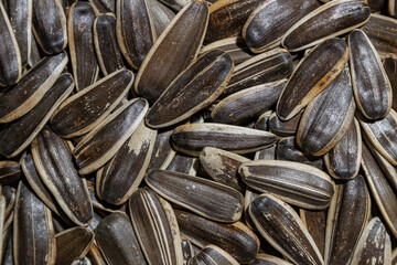 Non Salty Roasted Sunflower Seeds in Shell: A Culinary Canvas of Sunflower Kernels, Creating a Lively and Textured Background for Gourmet Cooking. Scattered Sun Flower Seeds - Top View, Flat Lay