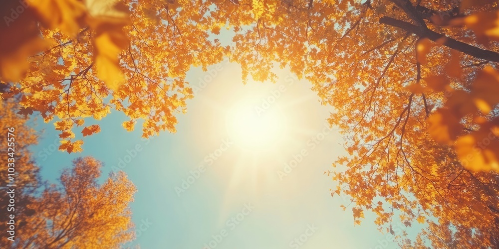 Poster Autumn foliage at the treetops in a fall forest. Sunlight and sky seen through the branches of autumn trees. Autumn backdrop. Copy space. Soft focus.