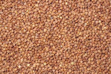 Dry Uncooked Brown Buckwheat Groats Background - Top View, Flat Lay. Raw Large Buckwheat Grains. Russian, Ukrainian and Belarusian Culture