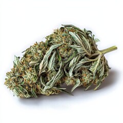 Close Up of Green Cannabis Flower on White Background