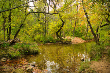 Gorges de Caramy in der Provence Verte