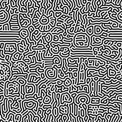 Fototapeta premium Intricate black and white geometric pattern with abstract organic shapes