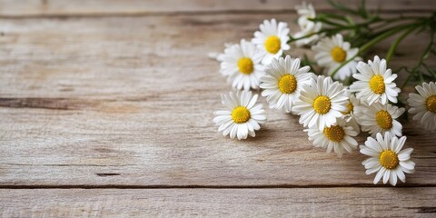 Obraz premium A bunch of daisies on a wooden surface.