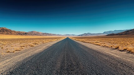 An empty winding road stretching into the desert horizon under a clear blue sky