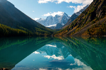 Shavlinskoye lake in Altai during the golden autumn, against the background of snow-capped...