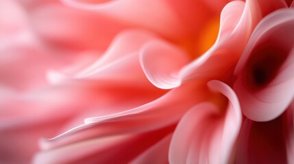 Fototapeta premium An abstract close-up showcasing the swirling form of pink petals, exploring the intricate patterns and beauty found within the heart of a blooming flower.