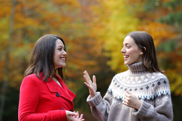 Happy friends talking in autumn in a park