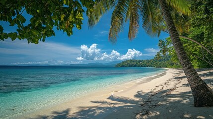 Serene beach scene with palm trees and turquoise waters, with copy space