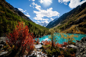 Shavlinskoye lake in Altai during the golden autumn, against the background of snow-capped mountains UNESCO heritage