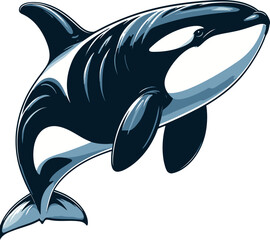 Orca vector image and illustration.