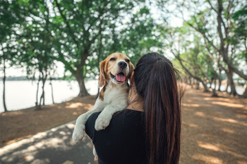 Woman with happy beagle dog looking over her shoulder in public park. Dog and owner together, best...