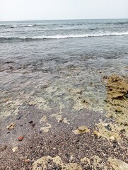 Portrait of a beach view on a sunny day with coral rocks on the beach