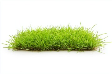 Patch of fresh green lawn grass, on white