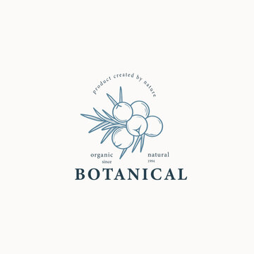 Line art juniper berries logo