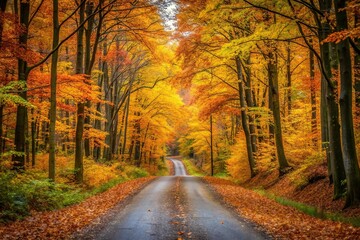 Obraz premium Autumn country road through forest