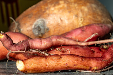 Home-grown sweet and ruset potatoes on a kitchen counter.