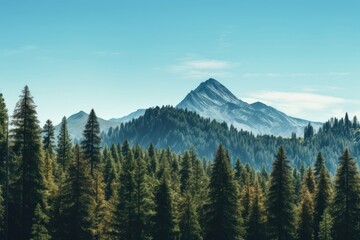 Fototapeta premium Pine trees landscape mountain outdoors.