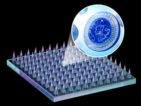 Microneedle mRNA vaccine, illustration
