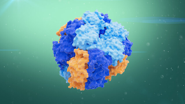RuBisCO enzyme, illustration