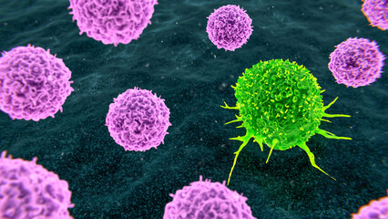 Cellular immunotherapy for cancer treatment, illustration