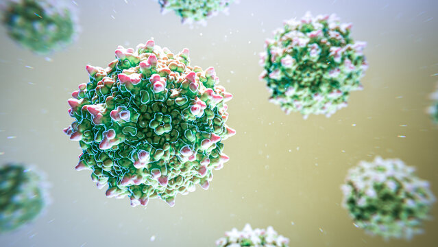 Adeno-associated virus, illustration