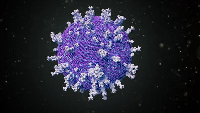 Herpes simplex virus type 1, illustration