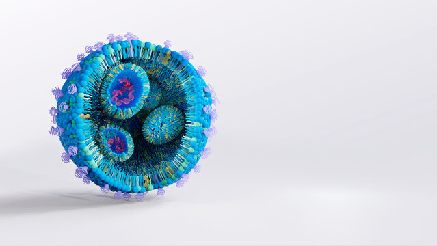 Lipid nanoparticle structure, illustration