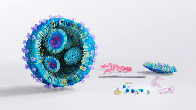 Lipid nanoparticle structure, illustration