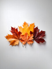 紅葉したランダムに重ねたカエデの葉