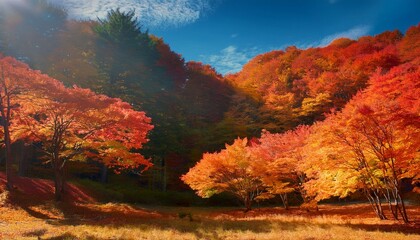 青空の下紅葉したカエデの林