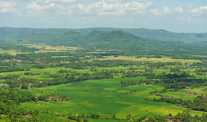 Obraz premium View from above, expanse of rice fields and rural atmosphere in the Ciletuh Geopark area, Sukabumi, West Java, Indonesia. The Ciletuh area has been designated as a UNESCO Global Geopark.