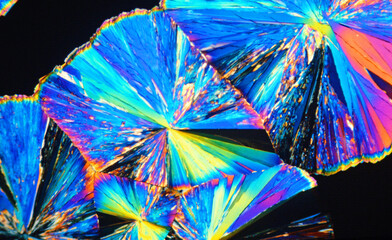 Vitamin C crystals under the microscope using polarised light