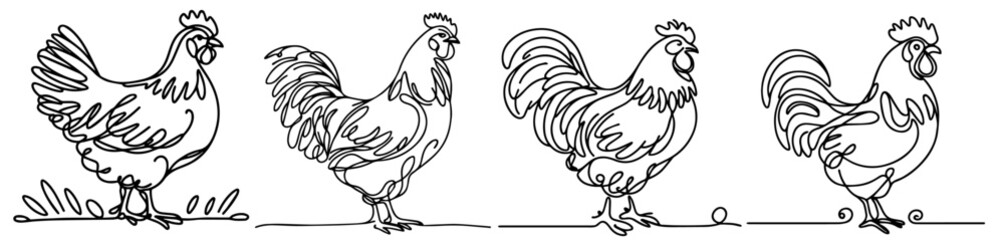 monoline rooster line art illustration in black vector
