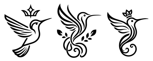 set of hummingbird bird sketches in monoline art style black vector